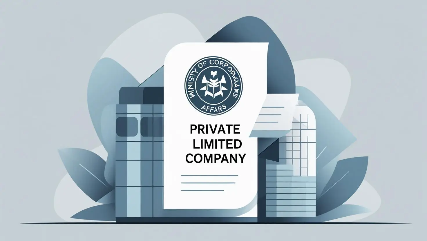 private limited , limited , ministry of corporate afairs